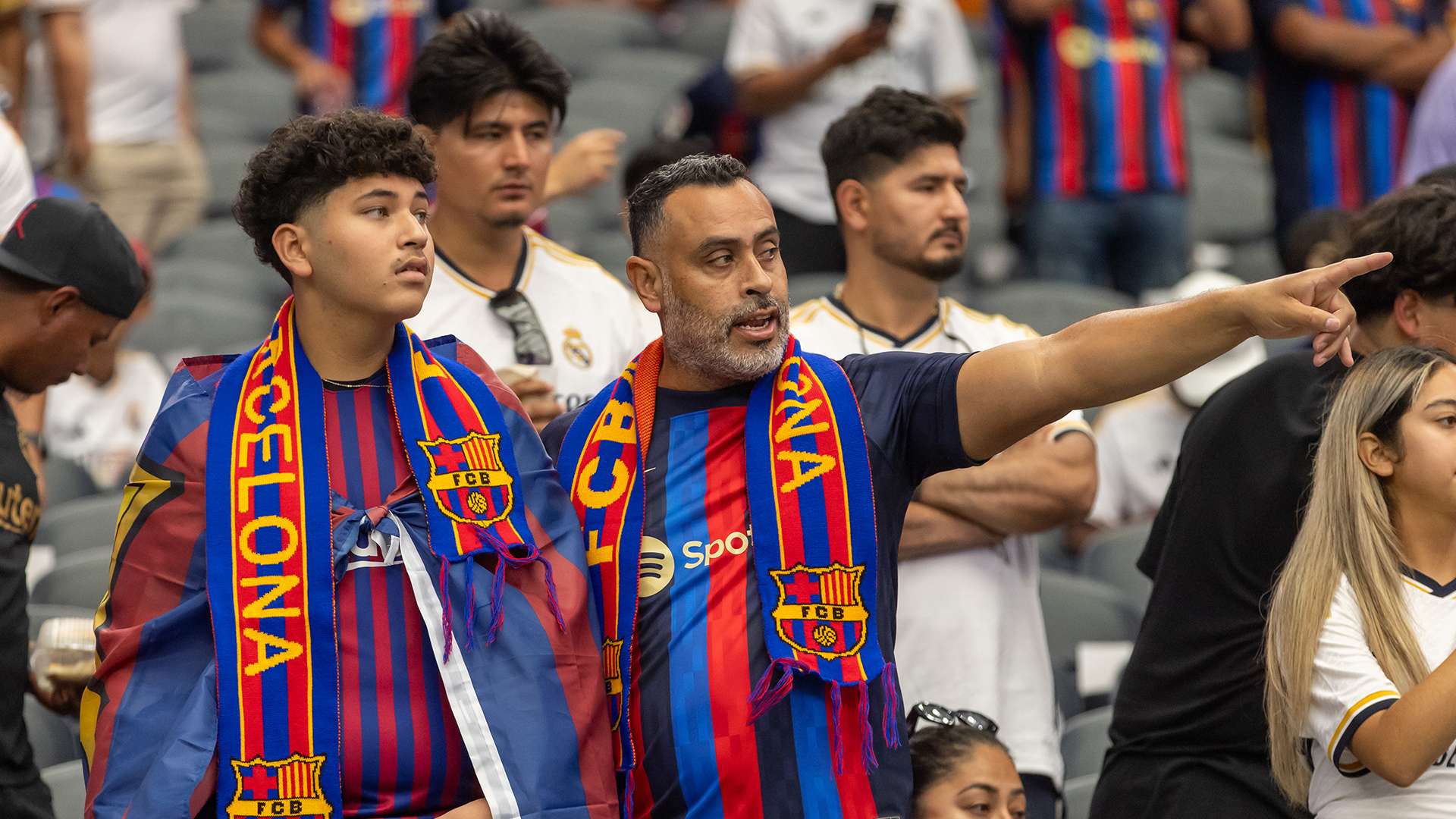 伍树立了榜 伍树立了榜