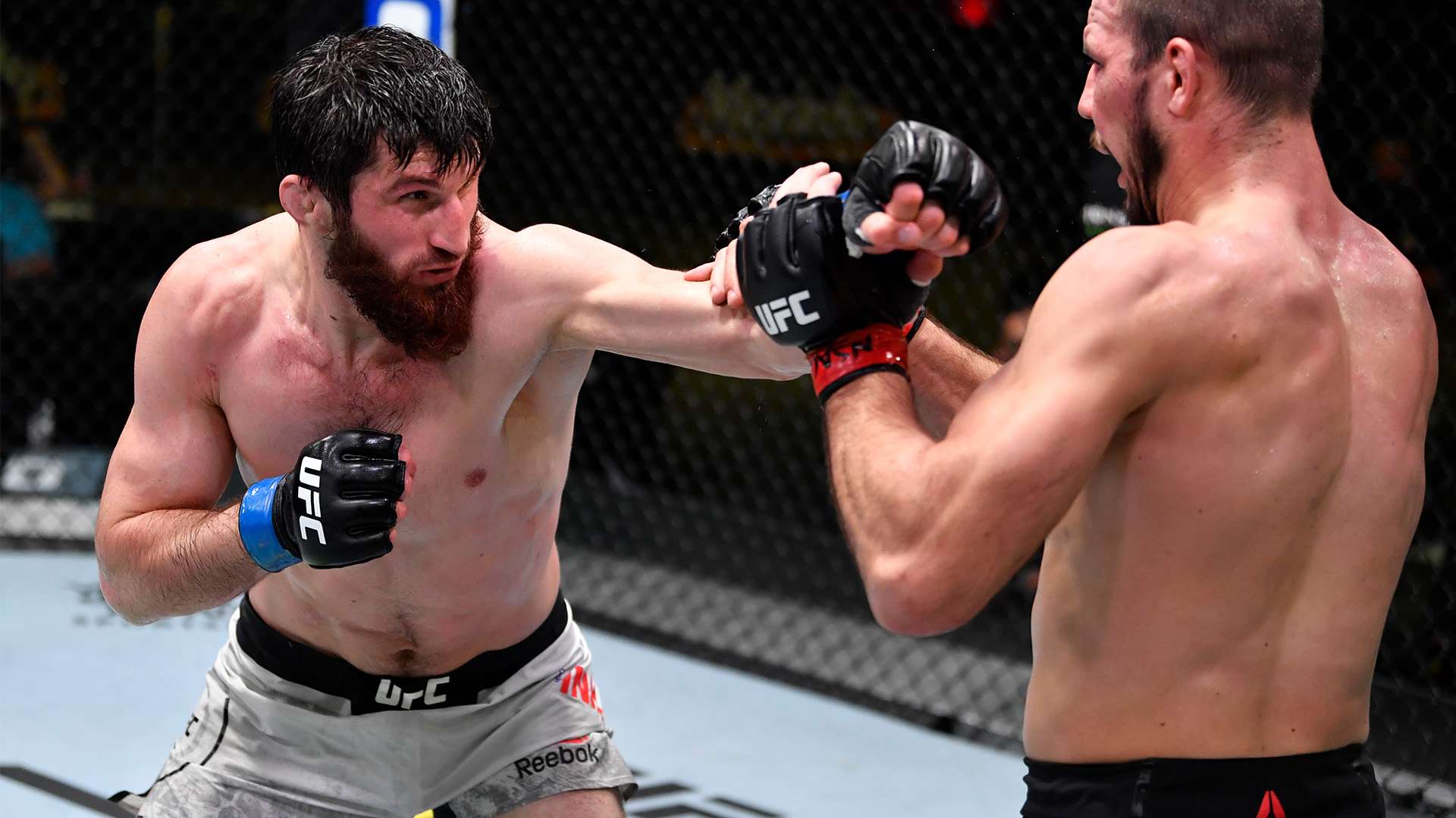 夺冠背后的 夺冠背后的