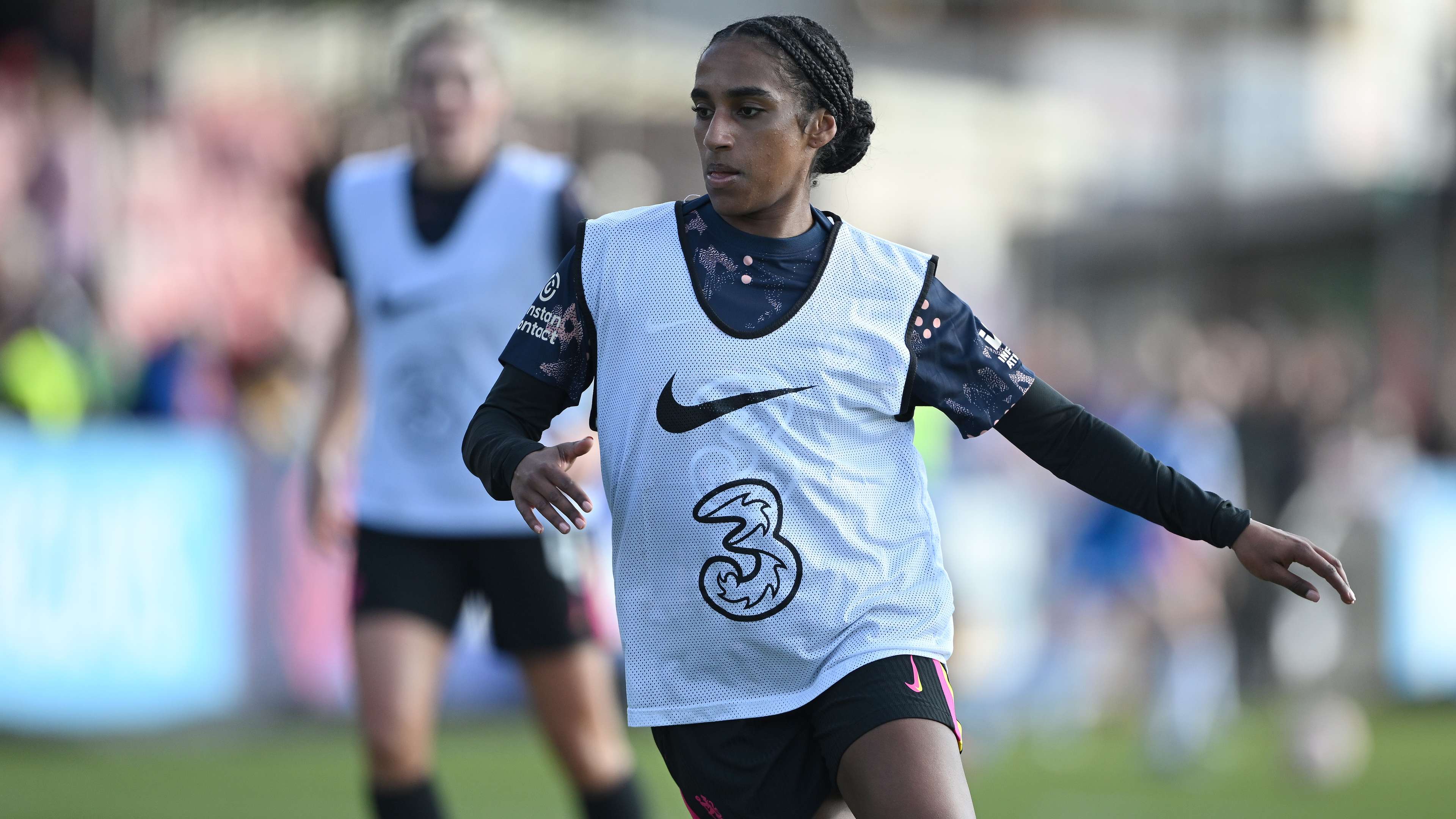 献不错的数 献不错的数